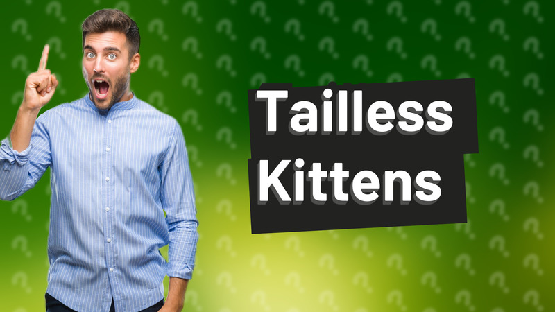 Tailless Kittens
