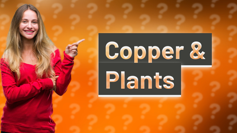 Copper & Plants
