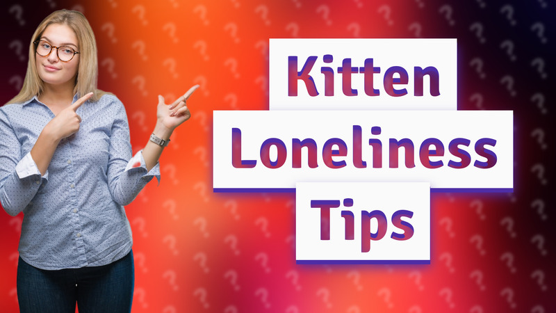 Kitten Loneliness Tips