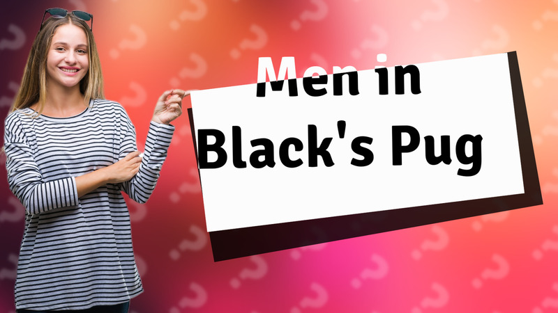 Men in Black's Pug
