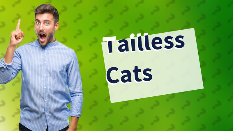 Tailless Cats