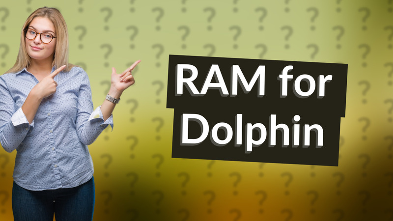 RAM for Dolphin