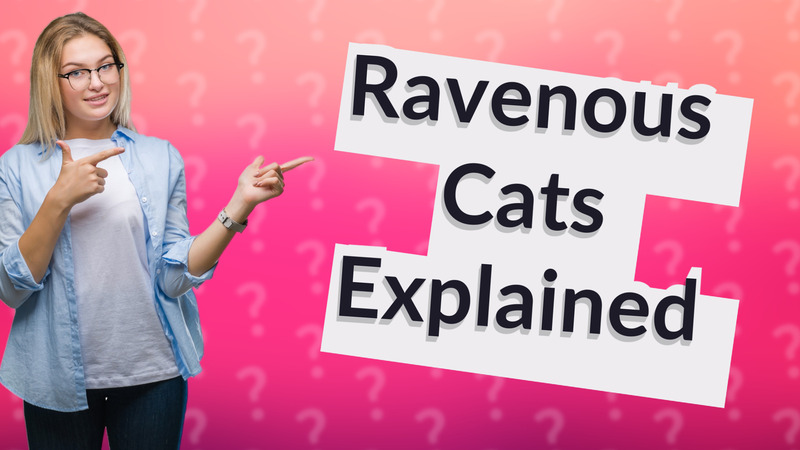 Ravenous Cats Explained