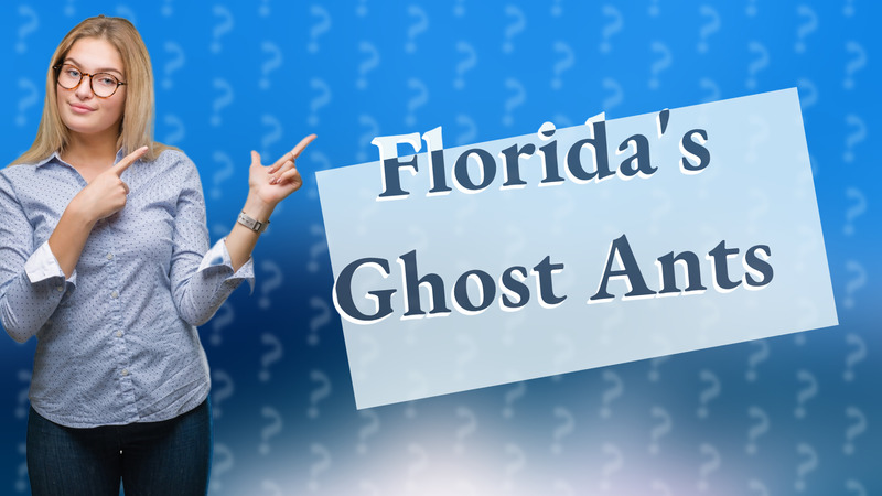 Florida's Ghost Ants