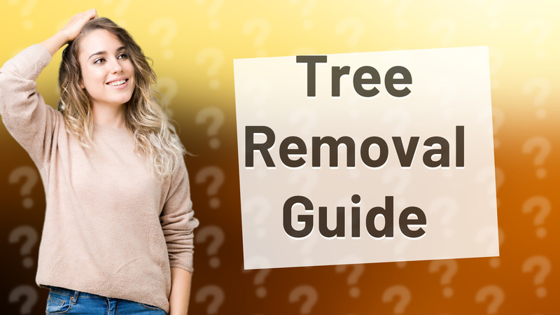 Tree Removal Guide