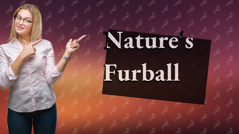 Nature's Furball