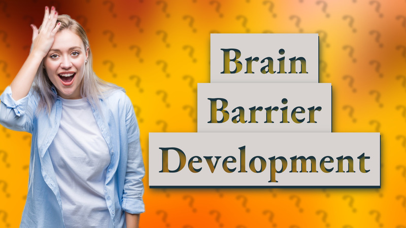 Brain Barrier Development