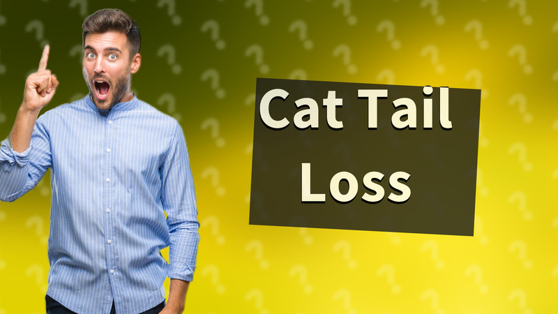 Cat Tail Loss