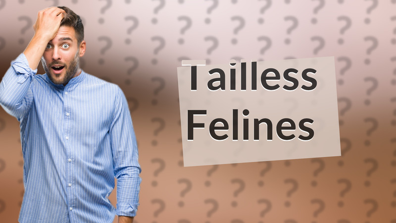 Tailless Felines