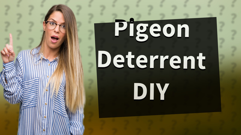 Pigeon Deterrent DIY