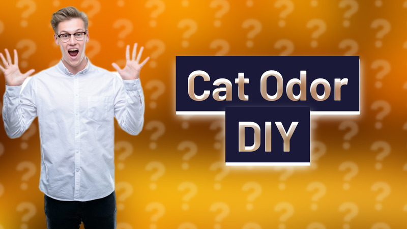 Cat Odor DIY
