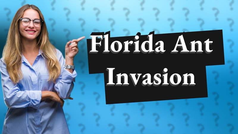 Florida Ant Invasion