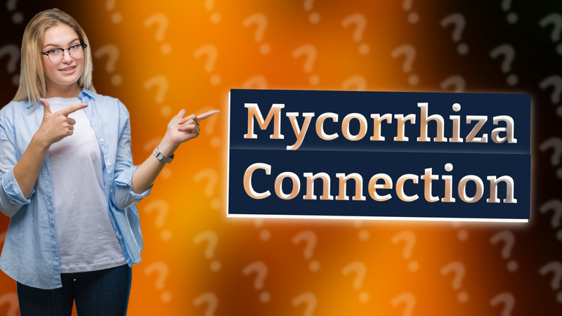 Mycorrhiza Connection