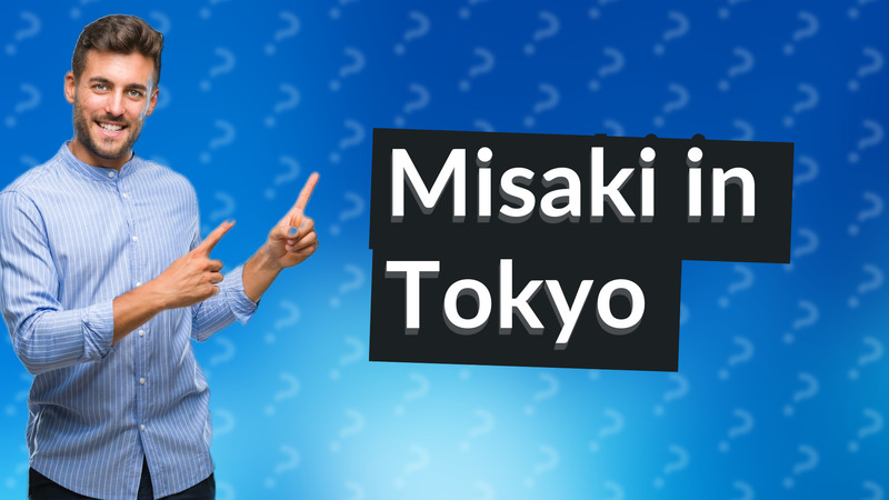 Misaki in Tokyo