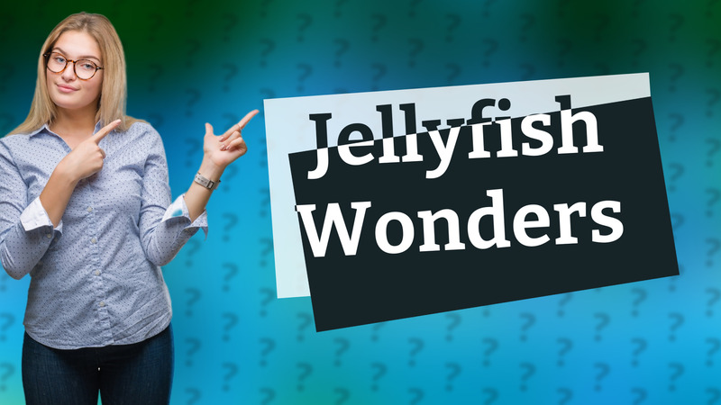 Jellyfish Wonders