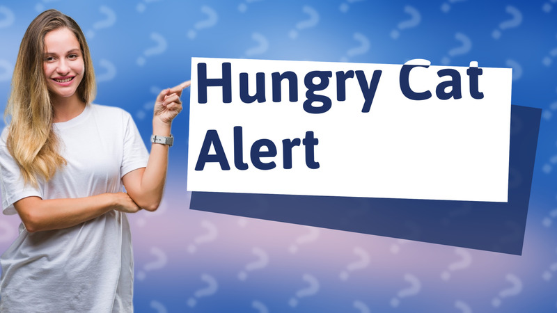 Hungry Cat Alert