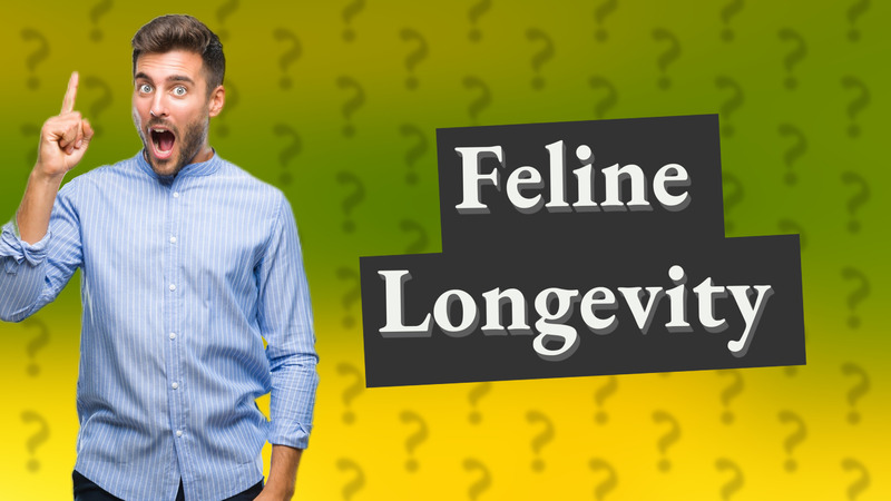 Feline Longevity