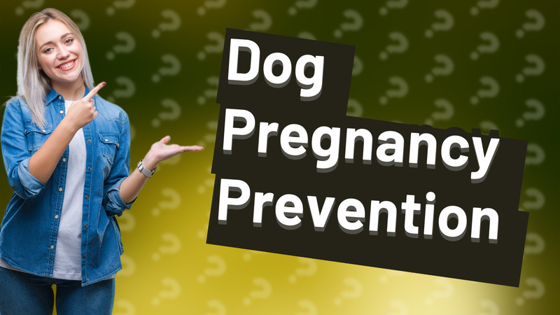 Dog Pregnancy Prevention