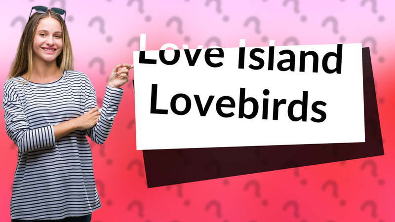 Love Island Lovebirds
