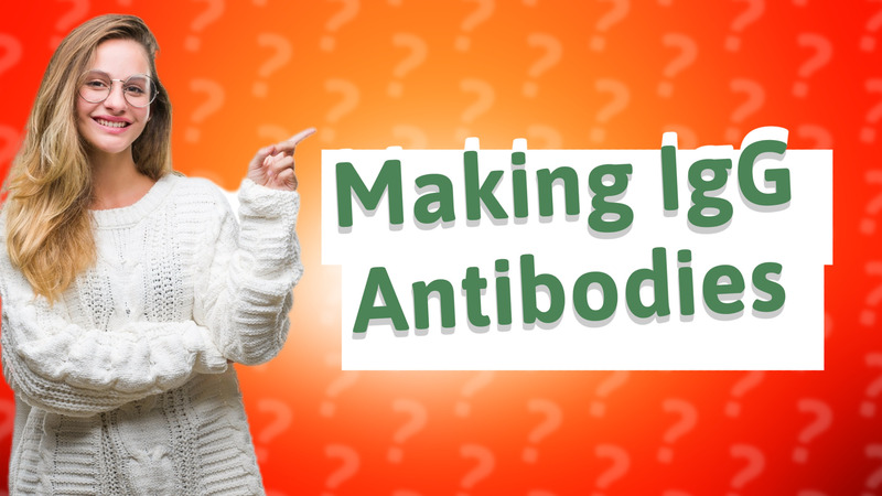 Making IgG Antibodies