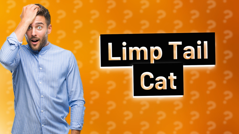 Limp Tail Cat