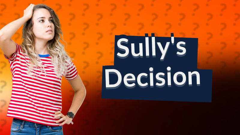 Sully's Decision