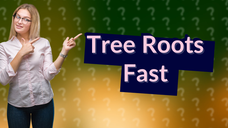 Tree Roots Fast