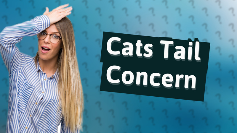 Cats Tail Concern