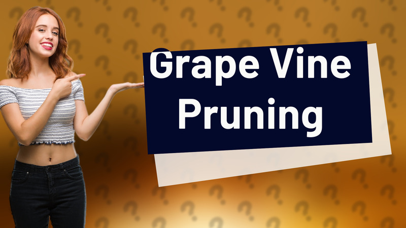 Grape Vine Pruning