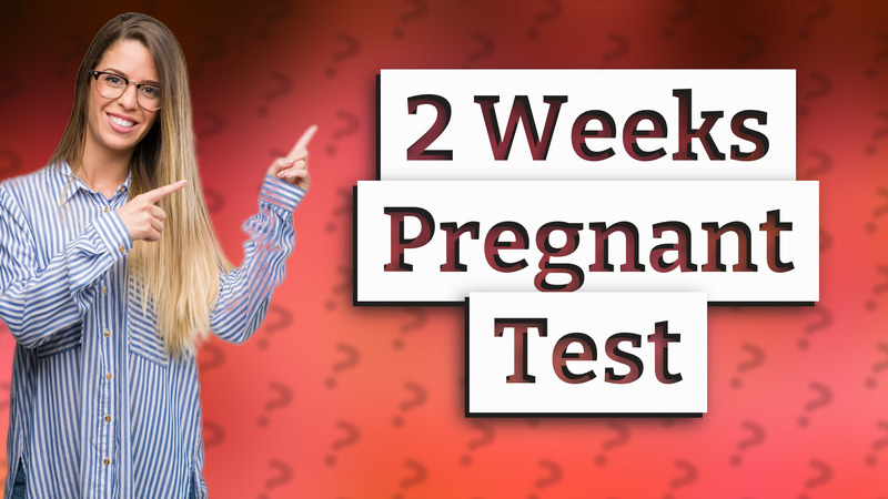 2 Weeks Pregnant Test