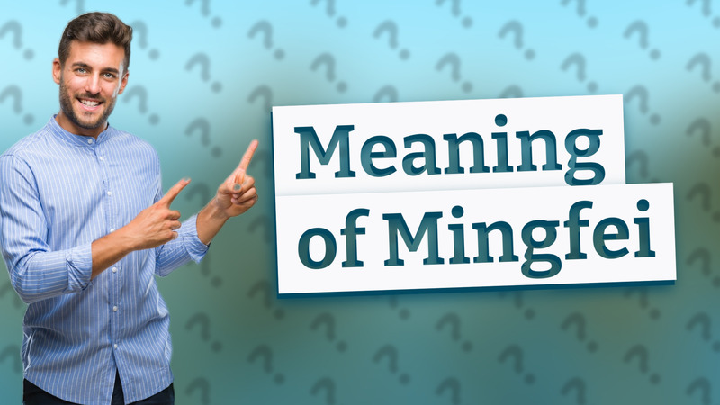 Meaning of Mingfei