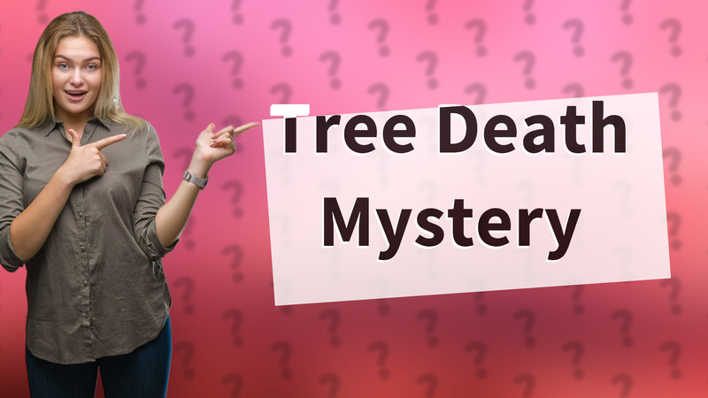 Tree Death Mystery