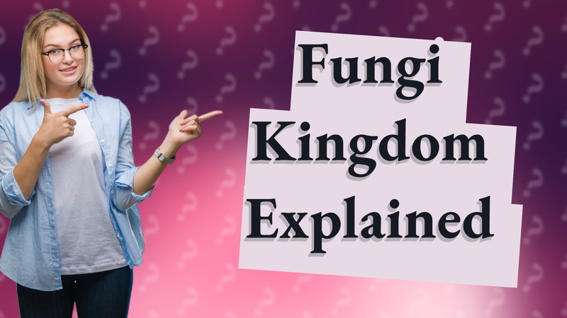 Fungi Kingdom Explained