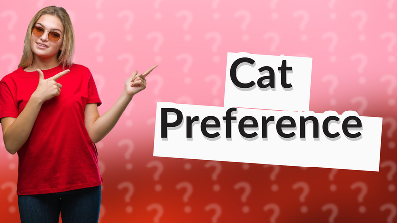 Cat Preference