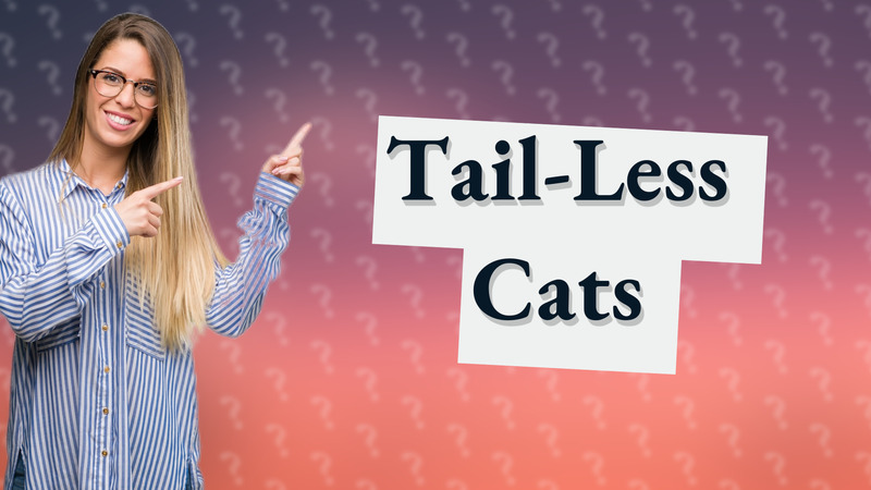 Tail-Less Cats