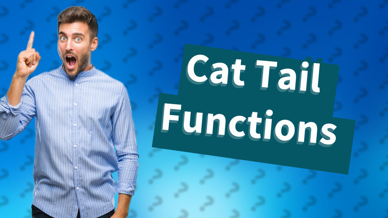 Cat Tail Functions