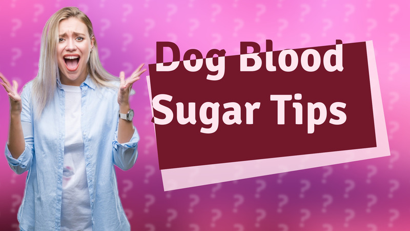 Dog Blood Sugar Tips