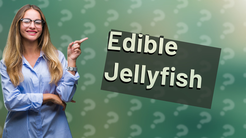 Edible Jellyfish