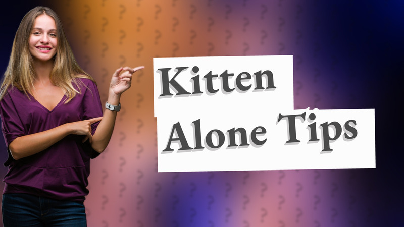 Kitten Alone Tips