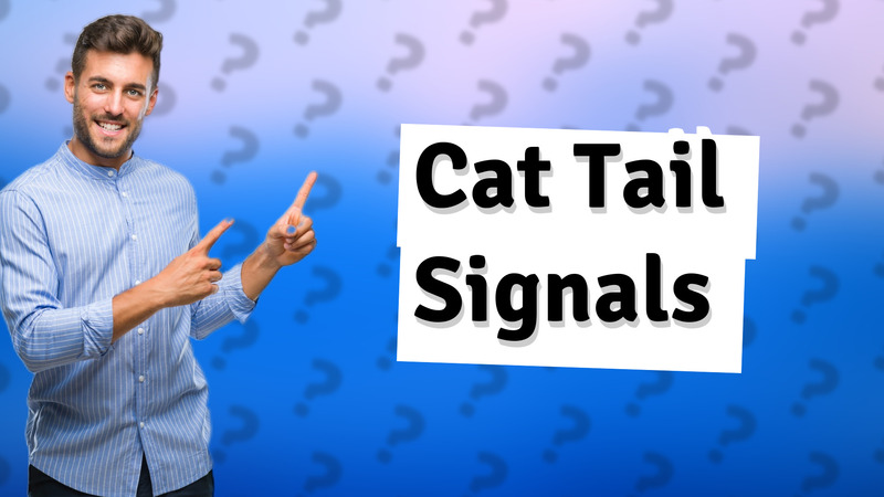 Cat Tail Signals