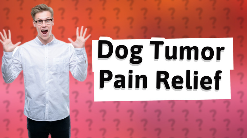 Dog Tumor Pain Relief