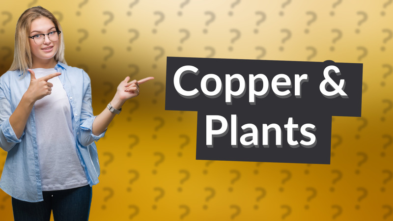 Copper & Plants