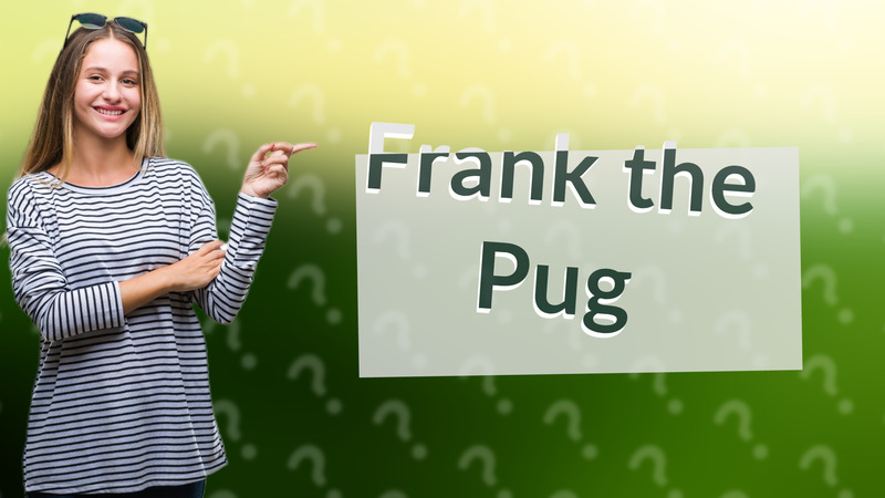 Frank the Pug