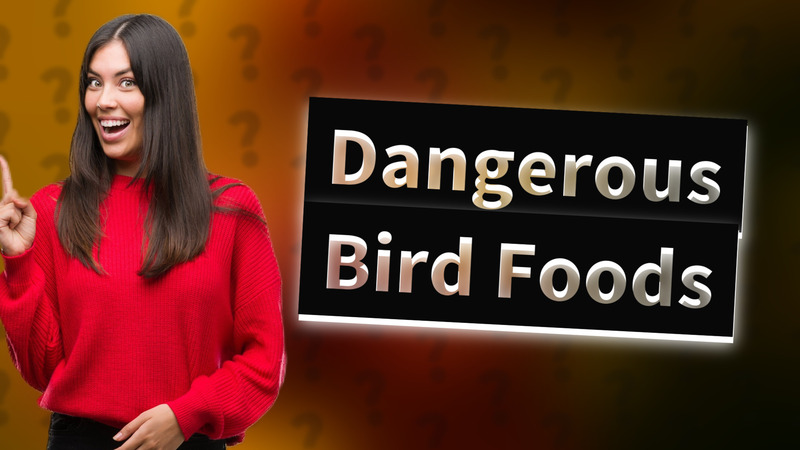 Dangerous Bird Foods