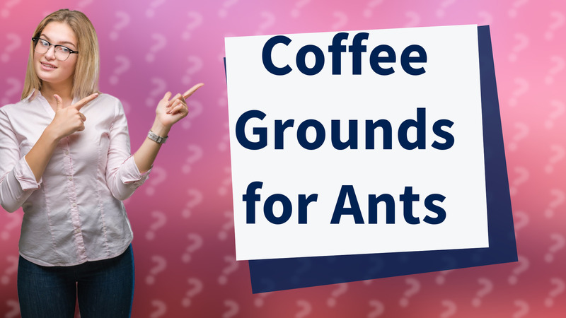 Coffee Grounds for Ants