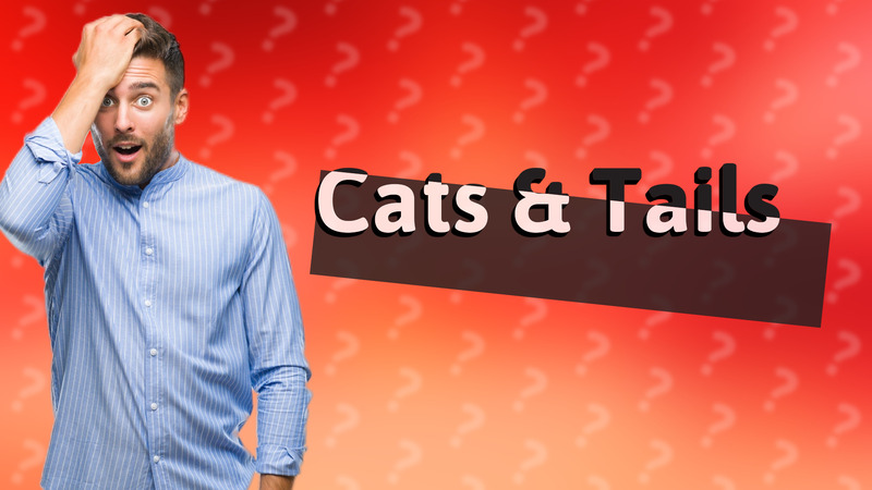 Cats & Tails