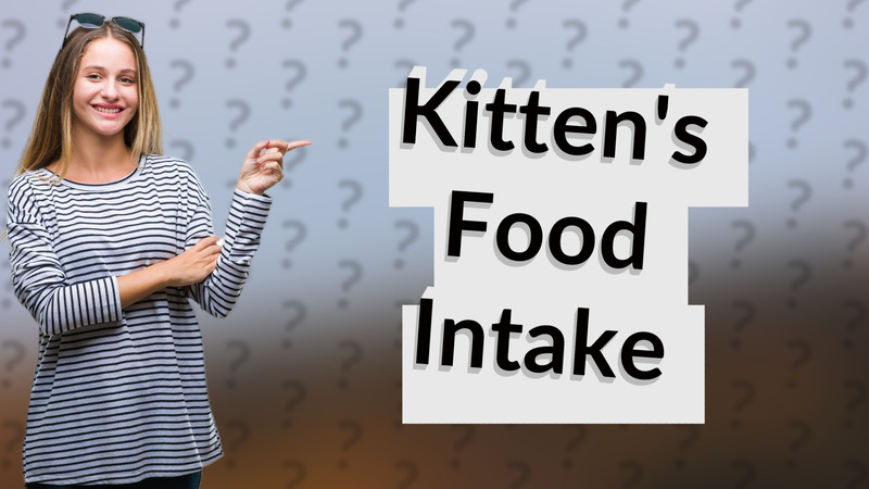 Kitten's Food Intake