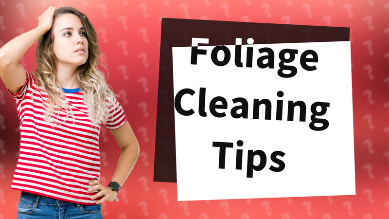 Foliage Cleaning Tips