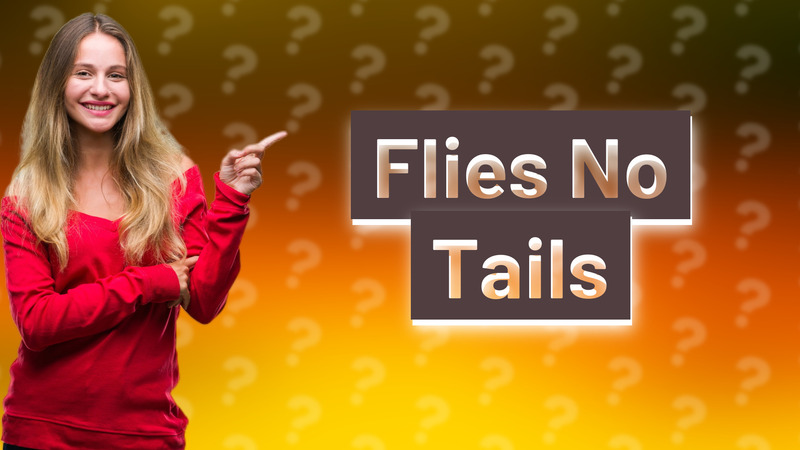 Flies No Tails