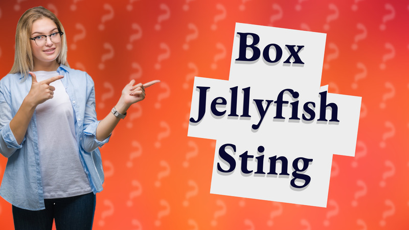 Box Jellyfish Sting